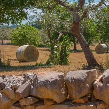 Trulli&dimore - I Trulli Di Annetta